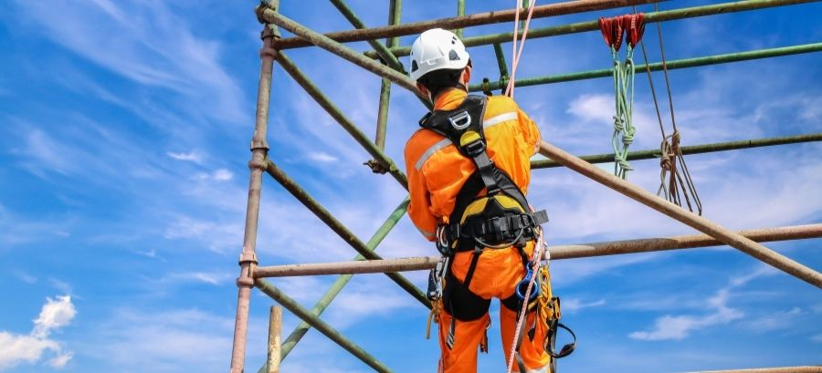 45e8f4939bc3bd36e4b87ab1e324d227_XL