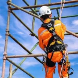 45e8f4939bc3bd36e4b87ab1e324d227_XL