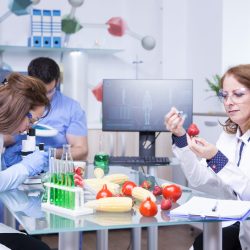 Treatment study on genetically engineered strawberries in laboratory by group of scientist. Test tubes with green solutions.